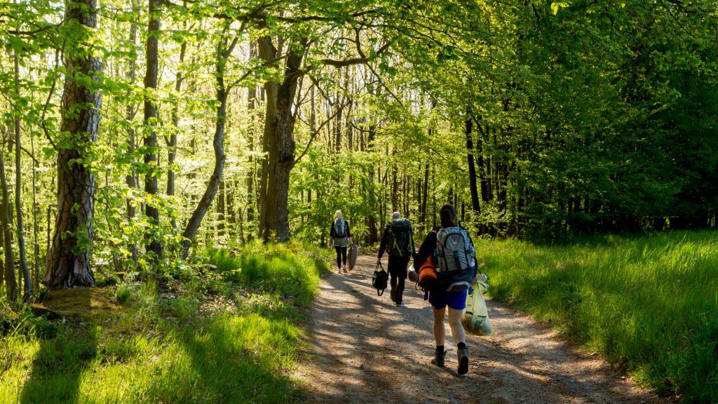 Trekking Pfalz - Blog mit Plätzen, Routen und schönen Spots 6